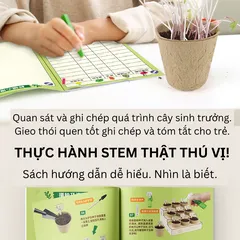 Bộ Kit Nhà Kính Trồng Cây Mini Cho Bé - Đồ Chơi Giáo Dục STEM Quan Sát Sinh Trưởng Cây Cảnh Thân Thiện Môi Trường