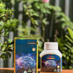 Vitatree Maxi Ginkgo 9500mg - Hỗ Trợ Tuần Hoàn Máu Não, Tăng Cường Trí Nhớ và Tinh Thần Minh Mẫn, Hộp 60 Viên