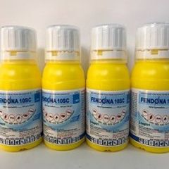 Thuốc diệt côn trùng Fendona 10SC - Hiệu quả diệt muỗi, ruồi, kiến, gián, rệp, 50ml - An toàn cho gia đình và y tế