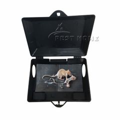 Hộp Nhựa Bẫy Chuột Bio An Toàn - Bẫy Keo, Bẫy Sập Đa Năng cho Nhà xưởng và Gia Đình, Bảo Vệ Môi Trường