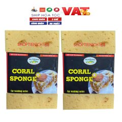 Mút Lau Rửa và Đánh Bóng Xe Tiện Ích Màu Nâu - Sản Phẩm Cho Ô Tô, Xe Máy, Dễ Dàng Làm Sạch Mọi Ngóc Ngách
