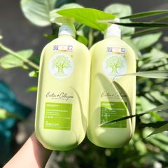 Cặp Dầu Gội Dưỡng Tóc Dầu Voudioty Biotin Collagen - Giải Pháp Sạch Sẽ và Khỏe Mạnh Cho Tóc Dầu Xanh Lá
