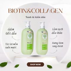 Cặp Dầu Gội Dưỡng Tóc Dầu Voudioty Biotin Collagen - Giải Pháp Sạch Sẽ và Khỏe Mạnh Cho Tóc Dầu Xanh Lá