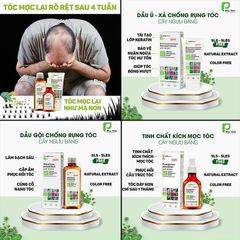 Dầu Gội Chống Rụng Tóc & Kích Mọc Tóc Elfa Pharm - Bộ Dầu Gội Xả và Serum Từ Cây Ngưu Bàng, Xuất Xứ Ba Lan