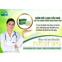 Bào Tử Lợi Khuẩn Intest Spo NSG - Hỗ Trợ Tiêu Hóa, Cải Thiện Hệ Đường Ruột và Tăng Cường Hấp Thụ Dinh Dưỡng - Hộp 4 Vỉ 5 Ống 10ml