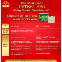 Bào Tử Lợi Khuẩn Intest Spo NSG - Hỗ Trợ Tiêu Hóa, Cải Thiện Hệ Đường Ruột và Tăng Cường Hấp Thụ Dinh Dưỡng - Hộp 4 Vỉ 5 Ống 10ml