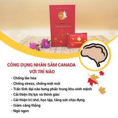 Nhân Sâm Hoà Tan CND GINSENG Red - Hỗ Trợ Bổ Thận Dương, Giảm Mệt Mỏi, Tăng Cường Sức Khỏe - 30 Gói Cao Khô Bột Nhân Sâm Canada