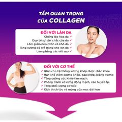 Collagen DHC 7000mg Nhật Bản 10 lọ dưỡng da căng mọng - Hàng Công Ty