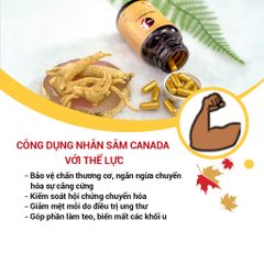 Viên Uống Nhân Sâm CND GINSENG GOLD Canada - Tăng Cường Sức Khỏe, Đề Kháng, Giảm Mệt Mỏi, Tỉnh Tảo, 60 Viên 500mg