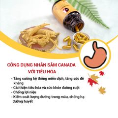 Viên Uống Nhân Sâm CND GINSENG GOLD Canada - Tăng Cường Sức Khỏe, Đề Kháng, Giảm Mệt Mỏi, Tỉnh Tảo, 60 Viên 500mg