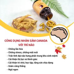 Viên Uống Nhân Sâm CND GINSENG GOLD Canada - Tăng Cường Sức Khỏe, Đề Kháng, Giảm Mệt Mỏi, Tỉnh Tảo, 60 Viên 500mg