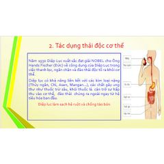 Diệp Lục TH-Chlorophyll UIE Plus 500ml - Hỗ Trợ Thanh Lọc Cơ Thể, Tăng Cường Sức Đề Kháng, Giảm Oxy Hóa