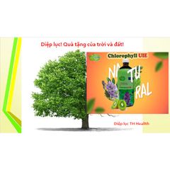 Diệp Lục TH-Chlorophyll UIE Plus 500ml - Hỗ Trợ Thanh Lọc Cơ Thể, Tăng Cường Sức Đề Kháng, Giảm Oxy Hóa