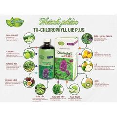Diệp Lục TH-Chlorophyll UIE Plus 500ml - Hỗ Trợ Thanh Lọc Cơ Thể, Tăng Cường Sức Đề Kháng, Giảm Oxy Hóa