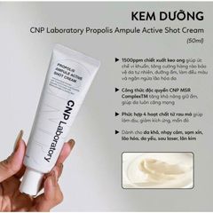 [CÔNG TY] Kem dưỡng ẩm phục hồi và hỗ trợ tái tạo da chiết xuất keo ong CNP Propolis Active Cream 50ml 378908