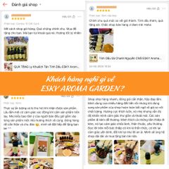 Set Quà Tặng Tinh Dầu Khuếch Tán Cắm Que ESKY AROMA GARDEN - Quà Tặng Ý Nghĩa Sinh Nhật Nam Nữ, Tạo Hương Thơm Thư Giãn 20/11