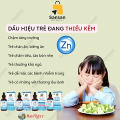 Siro Kẽm Hữu Cơ Mary Ruth's Ionic Zinc 60ml - Dinh Dưỡng Thiết Yếu cho Trẻ Em và Bà Bầu - Hỗ Trợ Miễn Dịch và Phát Triển Nhận Thức