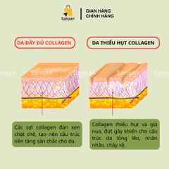 Viên Uống Collagen Youtheory Mỹ 390 Viên - Hỗ Trợ Làm Đẹp Da, Giảm Lão Hóa, Tái Tạo Độ Đàn Hồi - Collagen Loại 1, 2 & 3