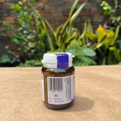 Viên uống Blackmores Ginkgoforte hỗ trợ trí não, cải thiện trí nhớ - 40 viên bổ não, tăng cường tuần hoàn máu và sức khỏe nhận thức