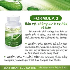 Bộ 3 Trà Thải Độc Renaissance Triple Set - Hỗ Trợ Tiêu Hóa & Tăng Cường Sức Đề Kháng - 180 Viên Siberian Wellness