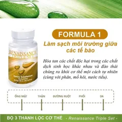 Bộ 3 Trà Thải Độc Renaissance Triple Set - Hỗ Trợ Tiêu Hóa & Tăng Cường Sức Đề Kháng - 180 Viên Siberian Wellness