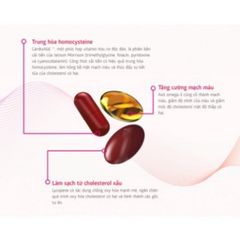 Hỗ Trợ Tim Mạch Pulse Box - Siberian Wellness Giảm Nguy Cơ Xơ Vữa Động Mạch, Chống Đột Quỵ, Hỗ Trợ Đồng Máu, Tăng Cường Sức Khỏe Tim Mạch