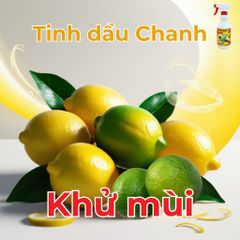 Tinh Dầu ASA Xua Đuổi Côn Trùng - Xịt Gián, Kiến, Ruồi, Muỗi với Camphor và Tinh Dầu Thiên Nhiên - Khử Mùi, An Toàn Cho Mọi Không Gian