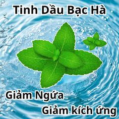 Dầu Tắm Chó Mèo FAY IODMINT 300ml - Diệt Khuẩn, Ngăn Ngừa Nấm Da, Giúp Vết Thương Mau Lành với Tinh Dầu Bạc Hà