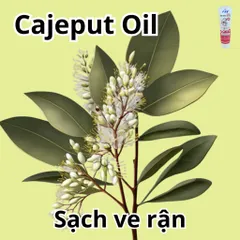 Sữa Tắm Chó Mèo FAY ASC 290ml - Giải Quyết Ngứa, Ghẻ, Viêm Da, Hỗ Trợ Chăm Sóc Da Lông Cho Thú Cưng