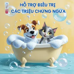 Sữa Tắm Chó Mèo FAY ASC 290ml - Giải Quyết Ngứa, Ghẻ, Viêm Da, Hỗ Trợ Chăm Sóc Da Lông Cho Thú Cưng
