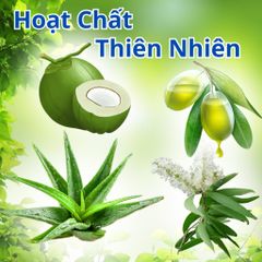 Dầu Tắm Chó Mèo Plotoon Maxx - Khử Mùi, Sạch Ve Cho Lông Mượt, Chiết Xuất Nha Đam - Hương Liệu Châu Âu 300ml