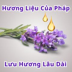 Dầu Tắm Chó Mèo Plotoon Maxx - Khử Mùi, Sạch Ve Cho Lông Mượt, Chiết Xuất Nha Đam - Hương Liệu Châu Âu 300ml