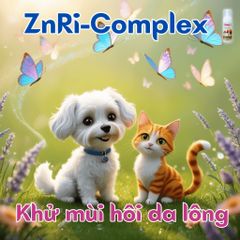 Bọt Tắm Chó Mèo Groom Foam Plotoon - Sản Phẩm Không Cần Nước, Khử Mùi Hiệu Quả, Dạng Bọt Tiện Dụng - 140ml