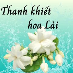Nước Thơm Tắm Tượng ASA - Dung Dịch Tẩy Uế, Tăng Tài Lộc Với Hương Trầm Hương, Hoa Bưởi, Hoa Lài 300ml Cho Nơi Thờ Cúng Trang Nghiêm