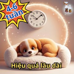 Xịt Ve Rận FAY Power - Tinh Dầu Thiên Nhiên Ngăn Ngừa Bọ Chét & Ve Rận Cho Thú Cưng, Hiệu Quả Lên Đến 1000 Giờ