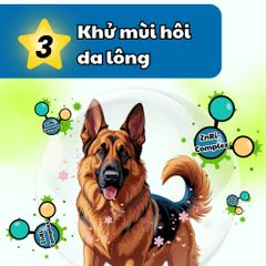 Dầu Tắm Chó Mèo FAY - Sạch Ve Rận, Khử Mùi, Chăm Sóc Da Lông - 5 Tính Năng Duy Nhất cho Thú Cưng Yêu Thích