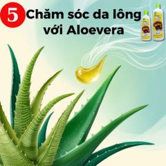 Dầu Tắm Chó Mèo Palma - Chăm Sóc Toàn Diện, Khử Mùi Hôi, Làm Sạch Ve Rận, Bọ Chét - Dưỡng Ẩm Da Lông Thú Cưng