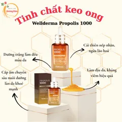 [HỎA TỐC]Serum keo ong Propolis 1000 Wellderma Hàn Quốc, dưỡng ẩm trắng da