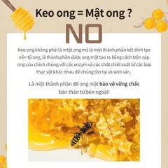 [HỎA TỐC]Serum keo ong Propolis 1000 Wellderma Hàn Quốc, dưỡng ẩm trắng da