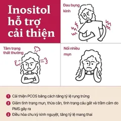 Viên uống Choline & Inositol NOW - Bổ não hỗ trợ trí nhớ, tăng cường sức khỏe thần kinh, giảm stress, hàng chính hãng Mỹ