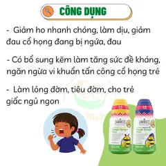 Siro ho ong tiêu đờm Zarbee's Cough Syrup + Mucus ngày và đêm 118ml của Mỹ