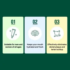 Kem Đánh Răng TheraBreath Mild Mint - Hơi Thở Thơm Mát, Công Thức Nha Sĩ, 113.5g, Không Chứa Fluoride, Dành Cho Người Lớn & Trẻ Em
