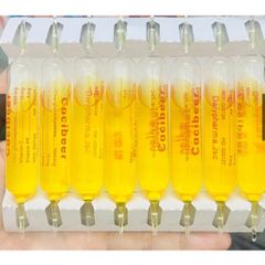 Cacibear - Canxi hàm lượng cao hỗ trợ chắc khỏe xương - 20 ống nhựa