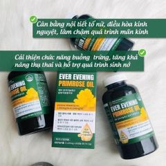 Viên uống tinh dầu hoa anh thảo Hàn Quốc Ever Evening Primrose Oil 365 viên - Hỗ trợ cân bằng nội tiết, làm đẹp da, sức khỏe nữ giới