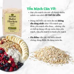 HCM - Combo 10 gói yến mạch đức hafer flocken 500g