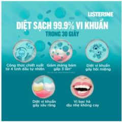 Bộ 2 Chai Nước Súc Miệng Listerine Diệt Khuẩn, Giữ Hơi Thở Thơm Mát Listerine Coolmint Mouthwash 750ml/Chai