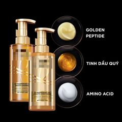Dầu Gội Dầu Xả Tinh Dầu Gỗ Tuyết Tùng 440ml - Bộ Dưỡng Tóc Suôn Mượt, Ngừa Xơ Rối, Phục Hồi Tóc Hư Tổn
