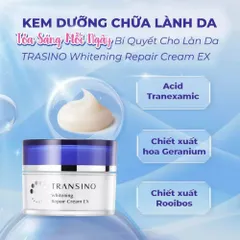 Kem Dưỡng Đêm Tái Tạo Da Transino Whitening Repair 35g – Phục Hồi Và Dưỡng Sáng Da Trong Giấc Ngủ