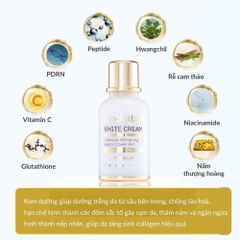 Kem Truyền Trắng Da Cindeltox Premium 50ml - Dưỡng Trắng An Toàn, Tăng Cường Độ Sáng, Phục Hồi Da, Dành Cho Mọi Loại Da