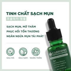 Tinh Chất Serum Caryophy Portulaca 30ml - Giảm Mụn, Làm Dịu Da, Cải Thiện Thâm Sẹo, Phù Hợp Mọi Loại Da